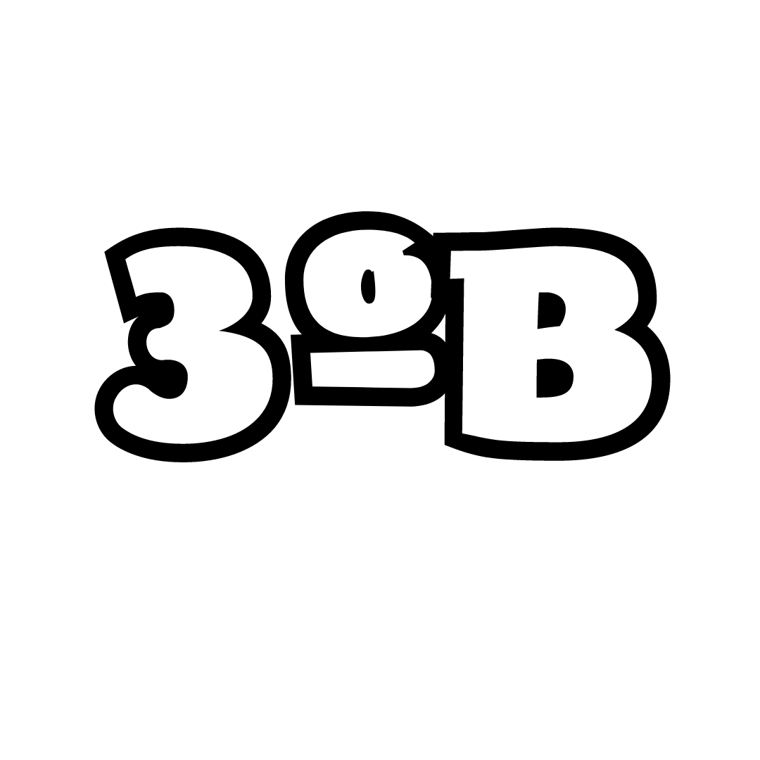 3B
